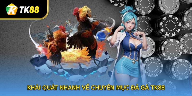 Khái quát nhanh về chuyên mục đá gà TK88